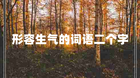 形容生氣的詞語二個字