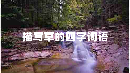 描寫草的四字詞語