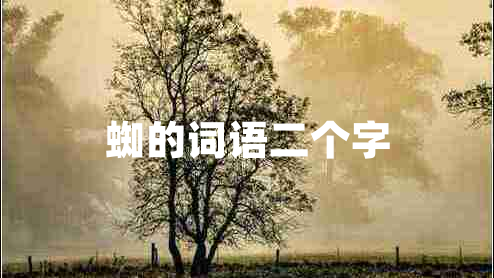 蜘的詞語二個(gè)字