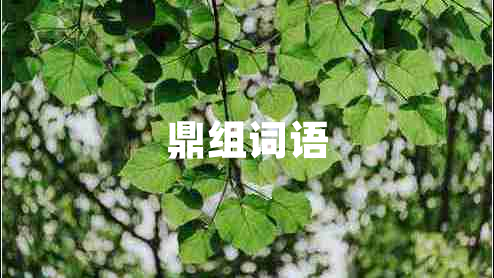 鼎組詞語