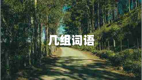 幾組詞語