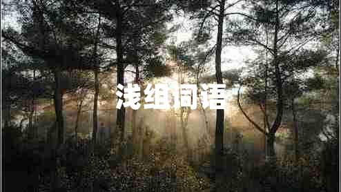 淺組詞語