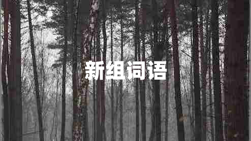 新組詞語