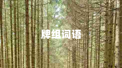 牌組詞語
