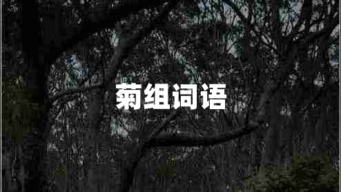 菊組詞語