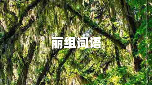 麗組詞語