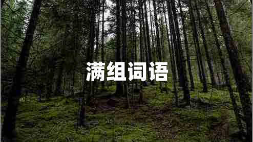 滿組詞語
