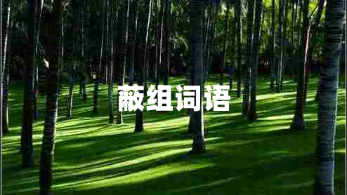 蔽組詞語
