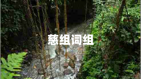 慈組詞組
