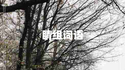 睛組詞語