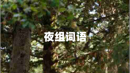 夜組詞語