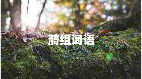漪組詞語