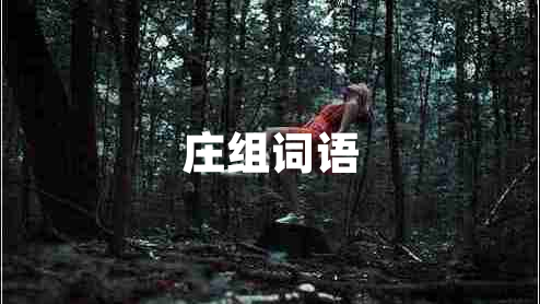 莊組詞語