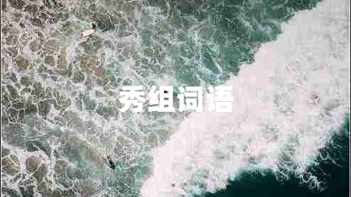 秀組詞語