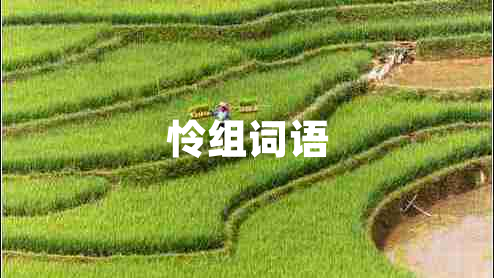 憐組詞語