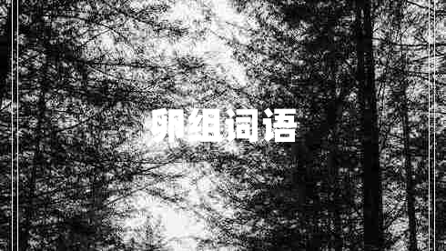 卵組詞語
