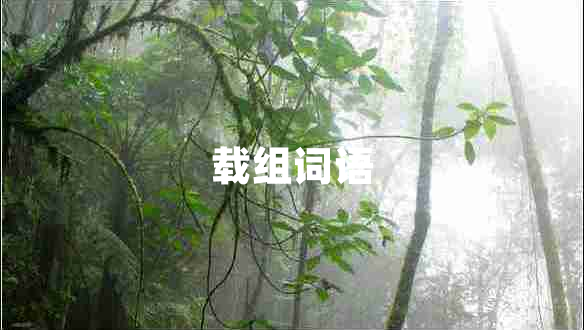 載組詞語