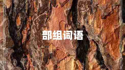 部組詞語