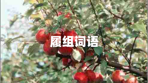 履組詞語