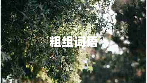 粗組詞語
