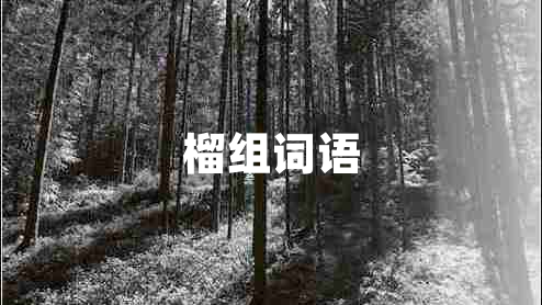 榴組詞語