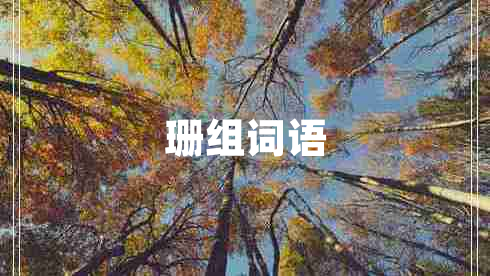 珊組詞語