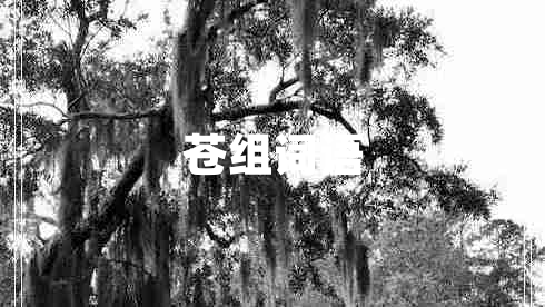 蒼組詞語