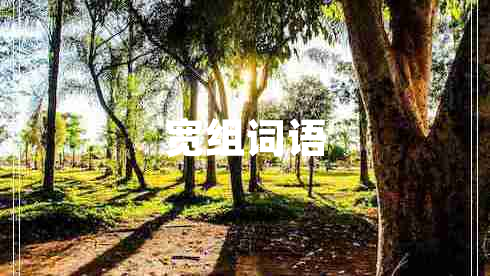 寬組詞語