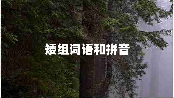 矮組詞語和拼音