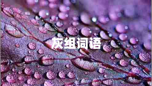 灰組詞語