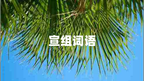 宣組詞語