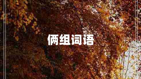 倆組詞語