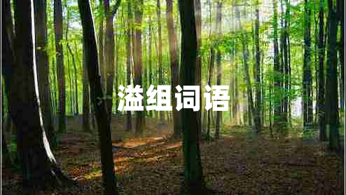 溢組詞語