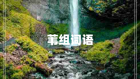 葦組詞語