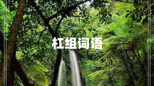 杠組詞語