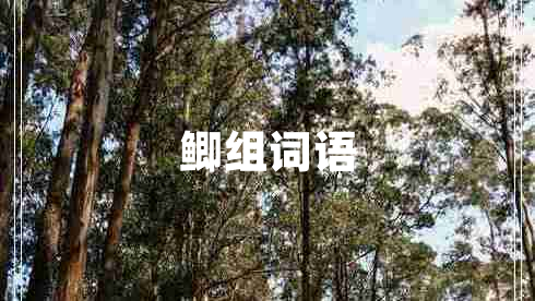 鯽組詞語