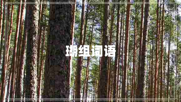 瑚組詞語