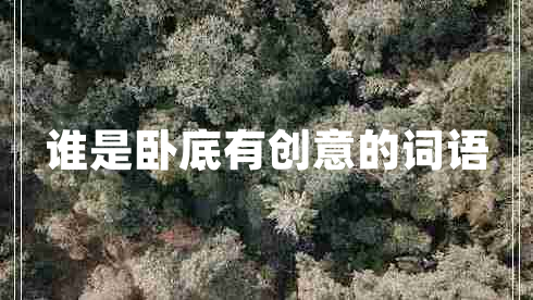 誰(shuí)是臥底有創(chuàng)意的詞語(yǔ)