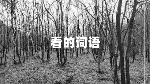 看的詞語