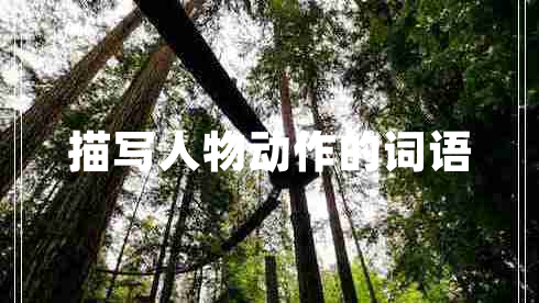 描寫人物動作的詞語