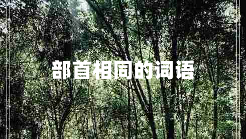 部首相同的詞語