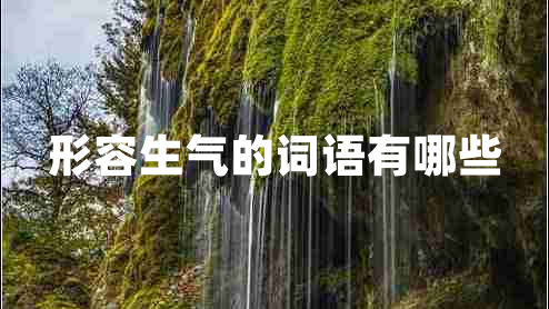 形容生氣的詞語有哪些