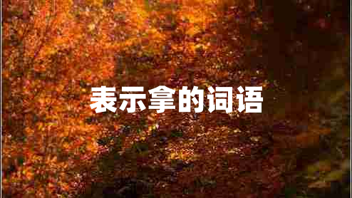 表示拿的詞語