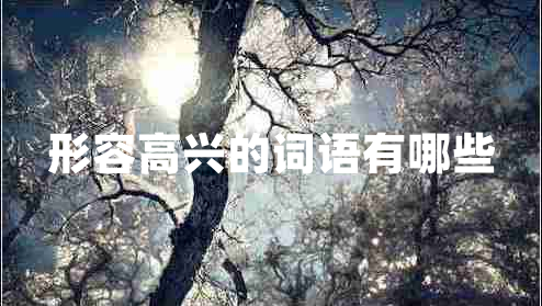 形容高興的詞語有哪些