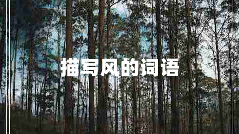 描寫風(fēng)的詞語