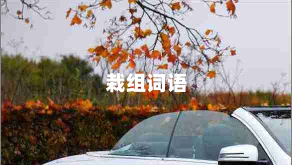 栽組詞語