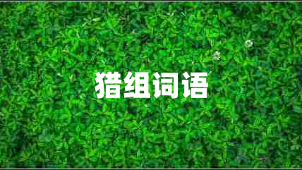 獵組詞語
