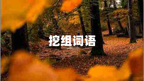 挖組詞語