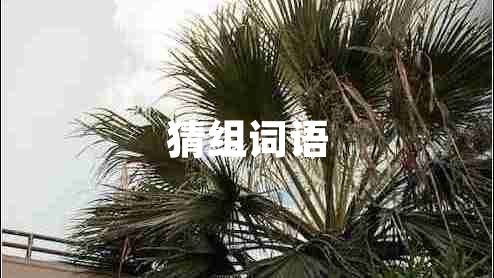 猜組詞語