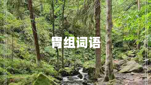 胃組詞語